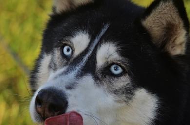 Miłość przechodzi przez żołądek! Z tym też piszę!