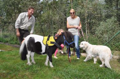 Nie tylko psy. Konie lub małpy mogą również pomóc osobom niepełnosprawnym.
