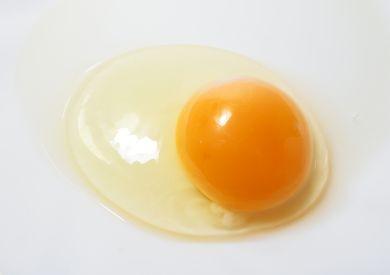 Czy surowe jajko jest odpowiednie dla psa?