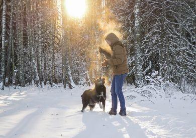 Zimowe spacery z psem: na co uważać i czy wymagana jest szczególna pielęgnacja?