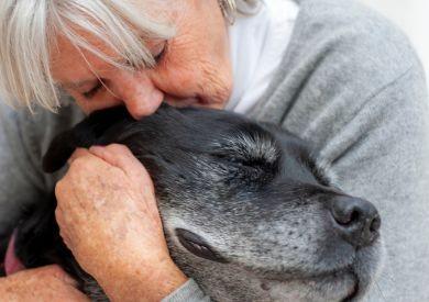 Opieka nad starszymi psami: Jak zapewnić im szczęśliwą starość?