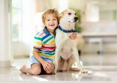 Psy i dzieci – ważne informacje dotyczące wspólnego życia