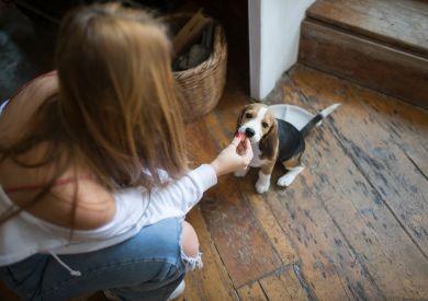 Żywienie w podróży: Jak przygotować się do podróży?