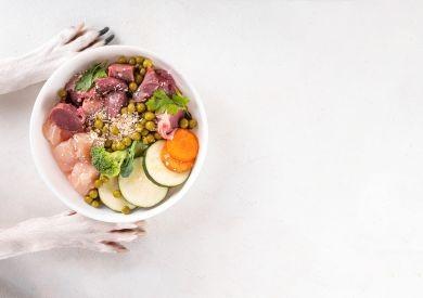 Nowoczesne trendy w żywieniu psów – BARF vs. sucha karma vs. gotowana karma