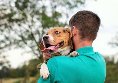 Najzabawniejsze przesądy o psach z różnych kultur