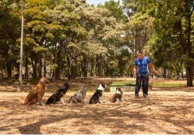 Dlaczego Twój pies wszędzie za Tobą podąża i co Ci to mówi