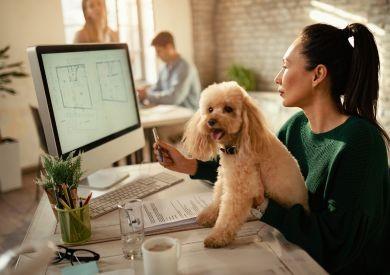 Jak radzić sobie z psem w pracy i stworzyć przyjazne psom środowisko