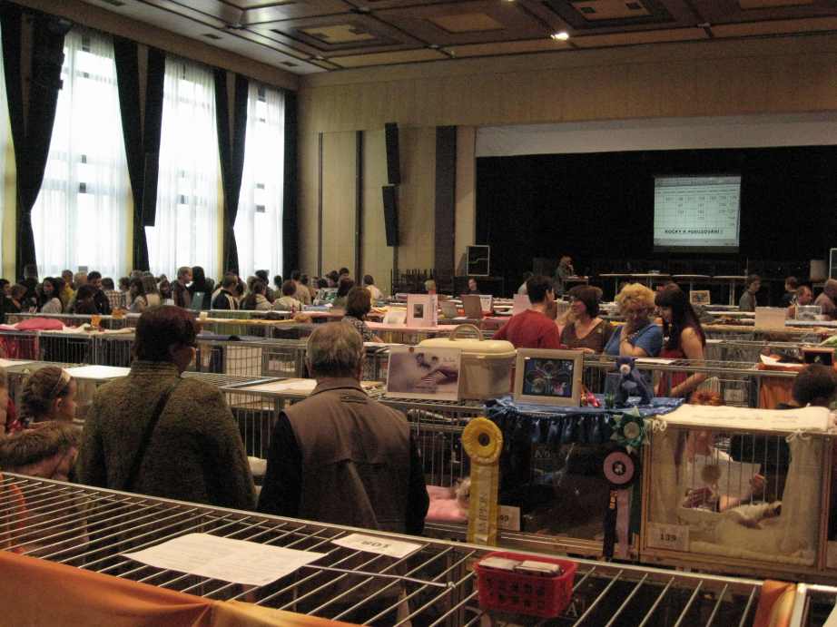 Międzynarodowa wystawa kotów Bohumin