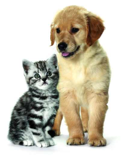 Dla najlepszego startu w życiu