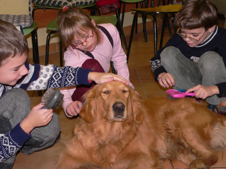 Światowy Dzień Zwierząt