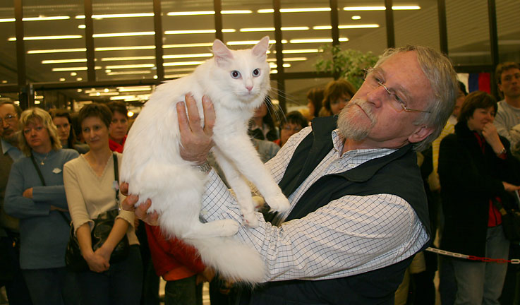 I. i II. STAR SHOW - MIĘDZYNARODOWA WYSTAWA KOTÓW