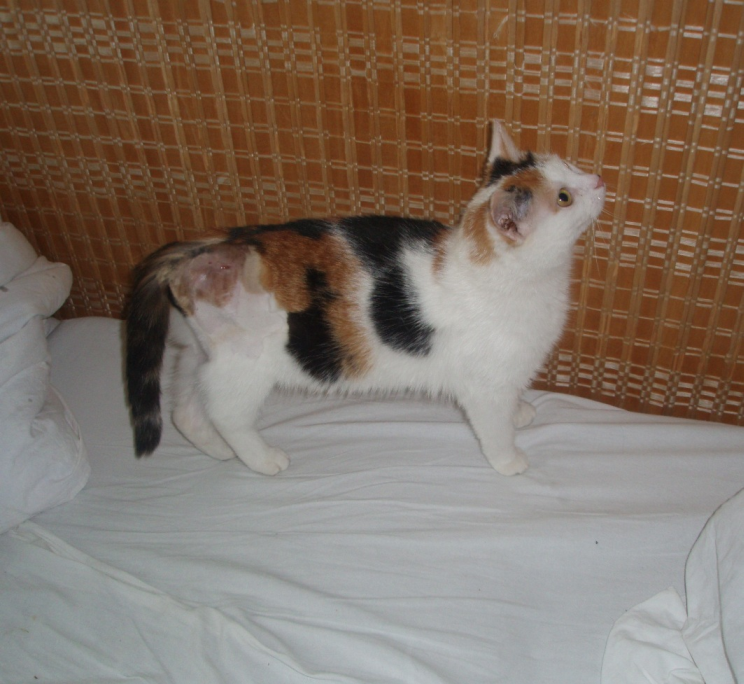 Mili prosi o pomoc ...