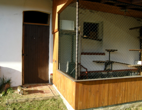 Wiosenny zarzut budowy