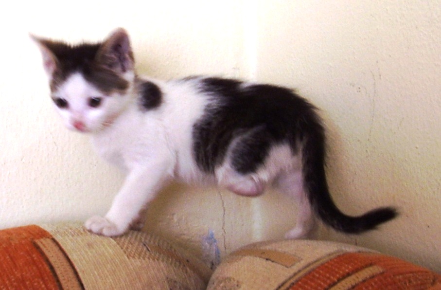 Prośba o pomoc w potrzebie