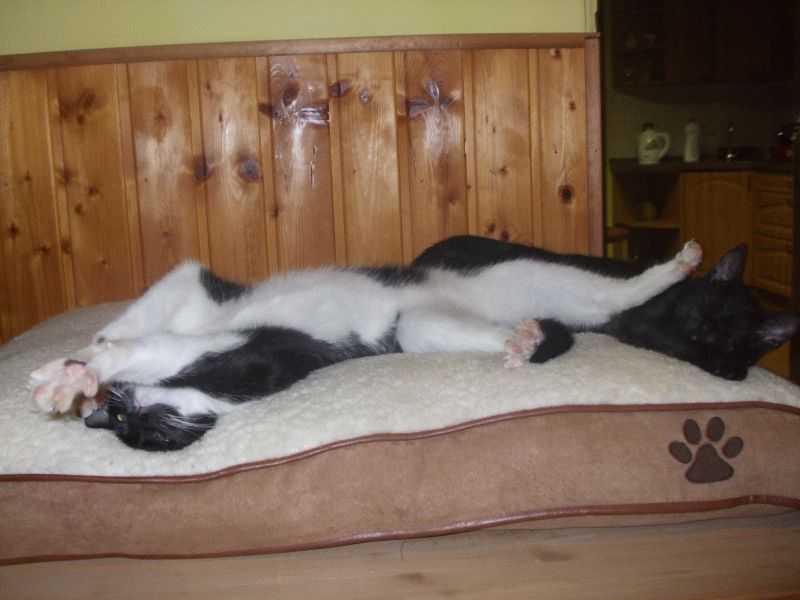 Nadal oczekujemy, że wrócisz