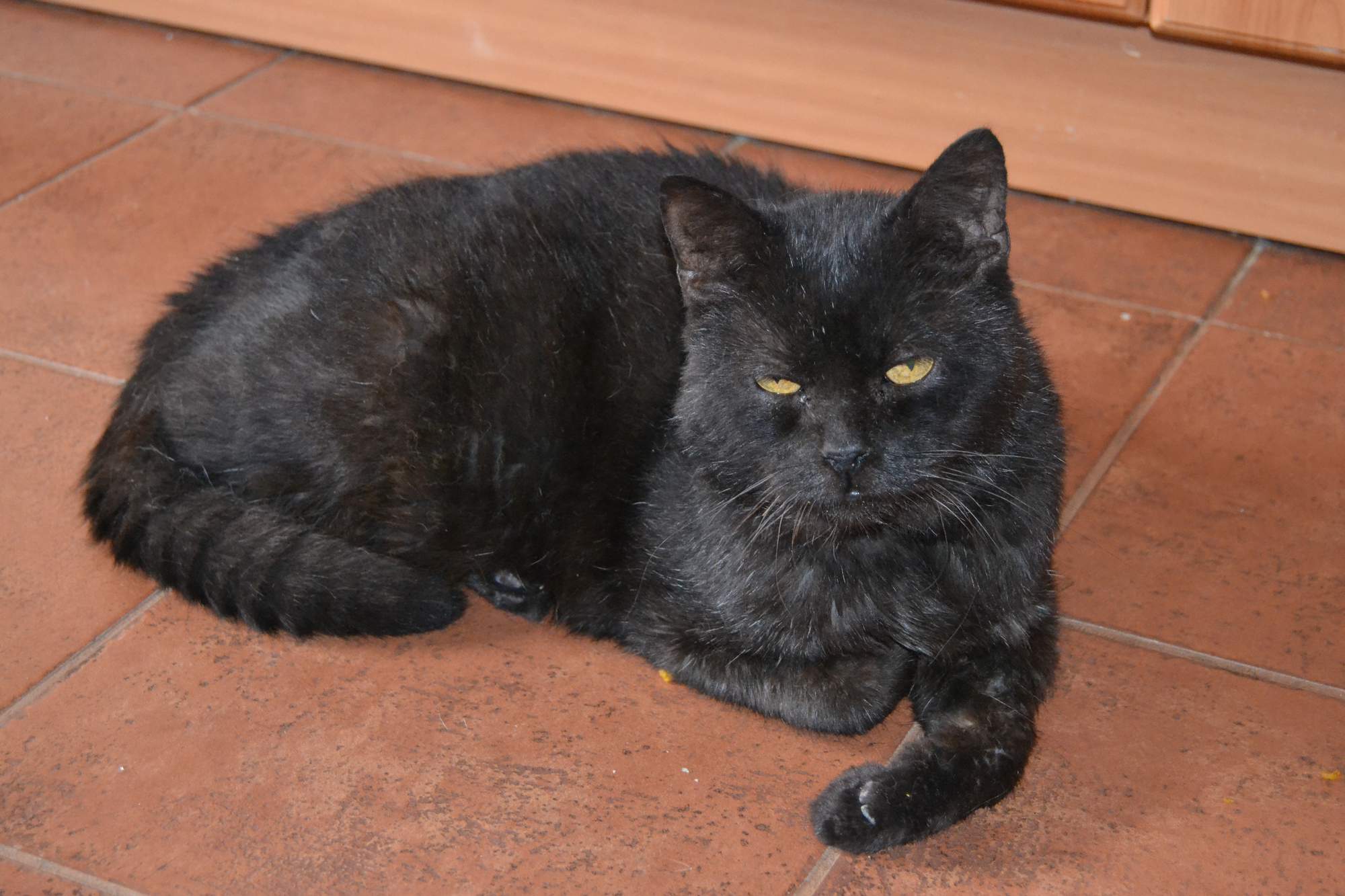 Od dobrobytu do samego dna - część 2