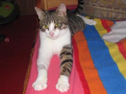 Patílie Filípka z wielkim pragnieniem nowego domu