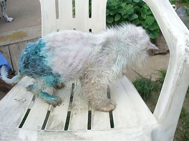 Martínkova zpověď