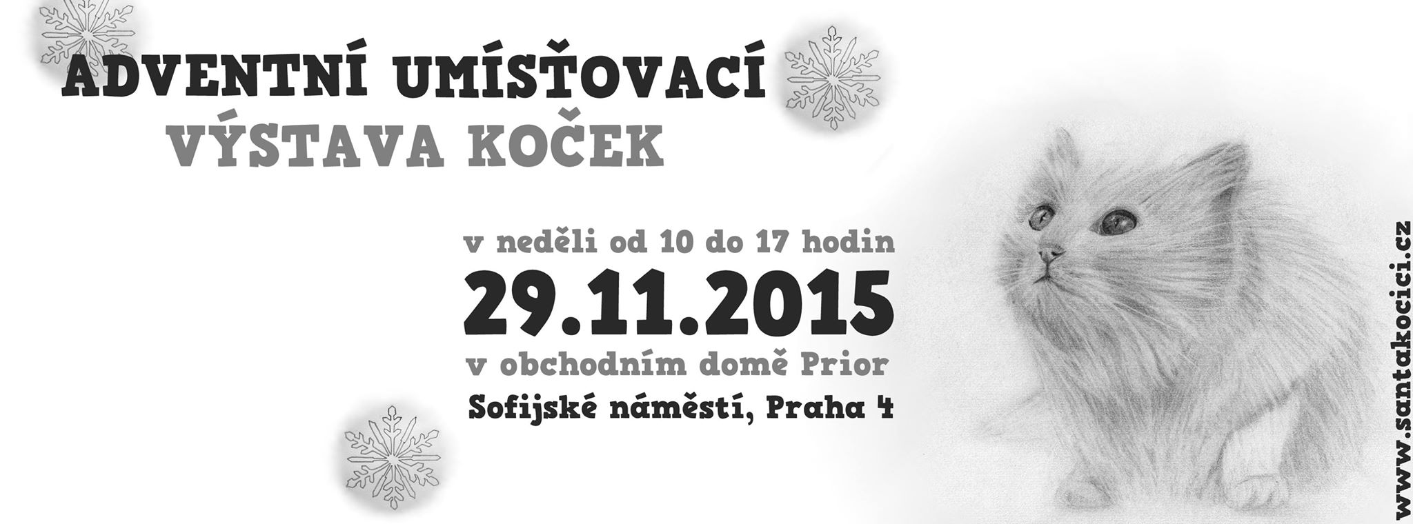 Zaproszenie: Wystawa kotów adwentowych