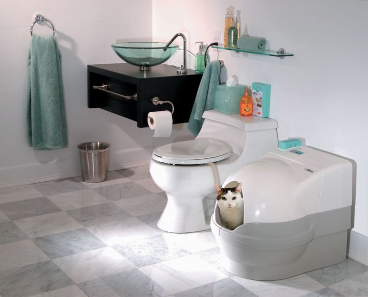 Nowość: samoczyszcząca toaleta dla kota