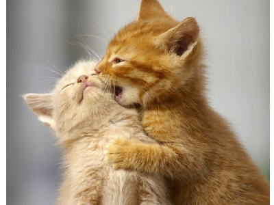 Kto gra, nie jest zły ...