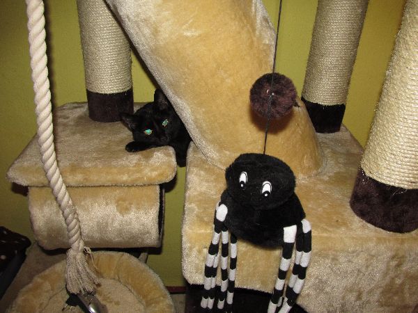 Tajemnicza i piękna Kleopatra