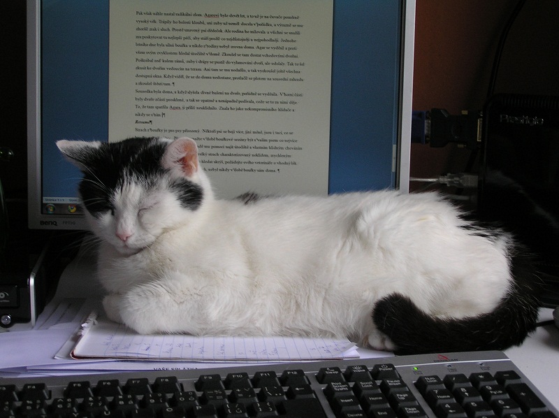 Nienawidzę komputera!