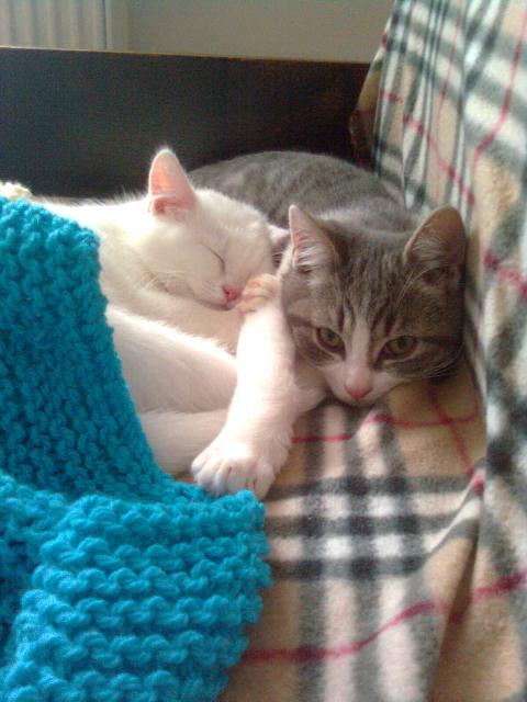 Co należy wiedzieć w diagnostyce zdrowotnej?