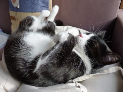 Na wakacjach w hotelu?