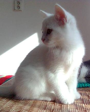 Połowa zdrowia czystości