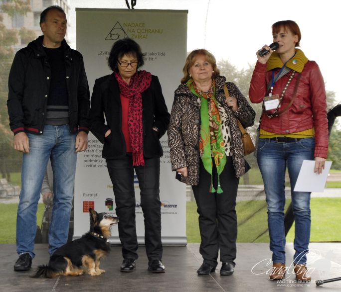 Światowy Dzień Zwierząt - jak to było?