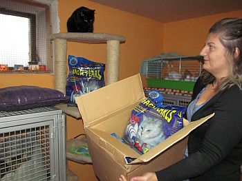 Milion i jedna czwarta dla bezdomnych kotów