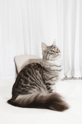 Wybór właściwego przepisu