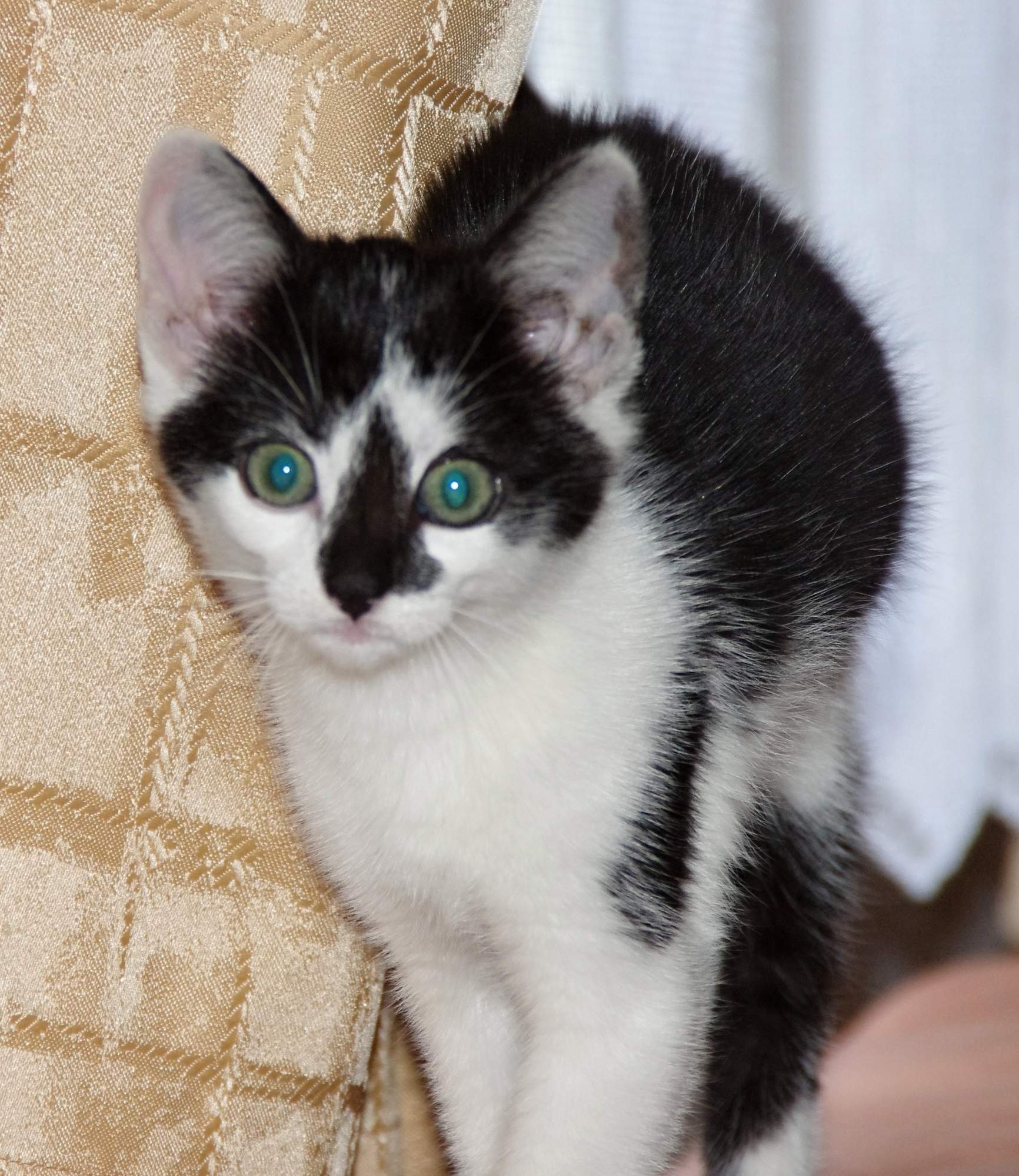 Przestrzeń osobista