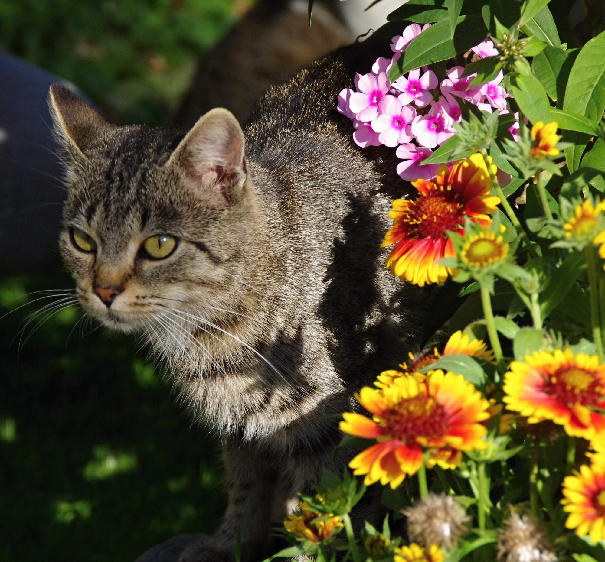 Największe szczyty weterynaryjne spotkają się w Pradze