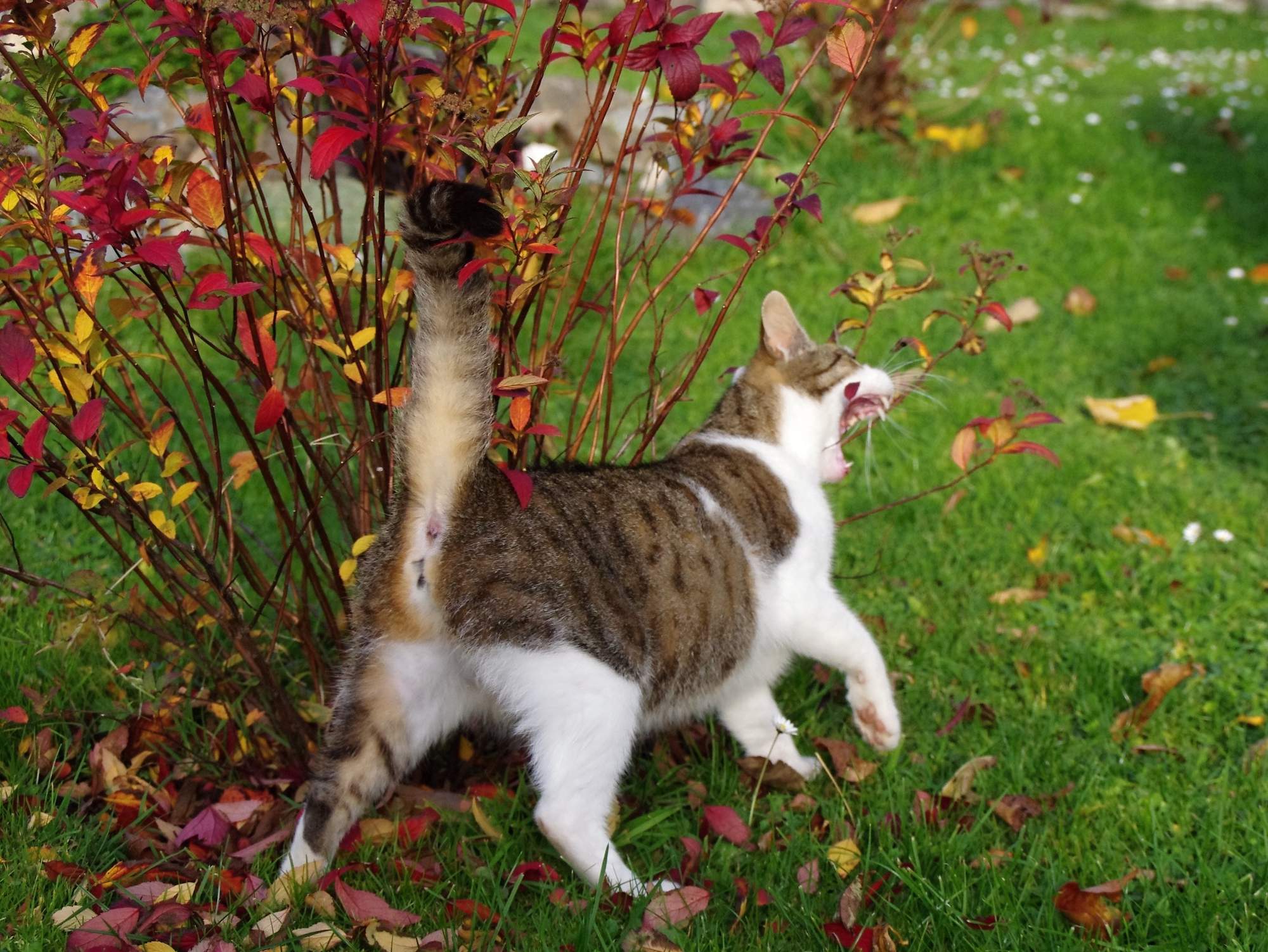 & # 8222; Save & # 8220; może być niebezpieczne