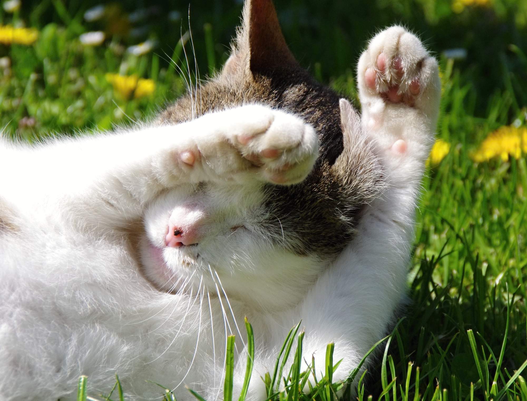 Nieprzyjemne żądło