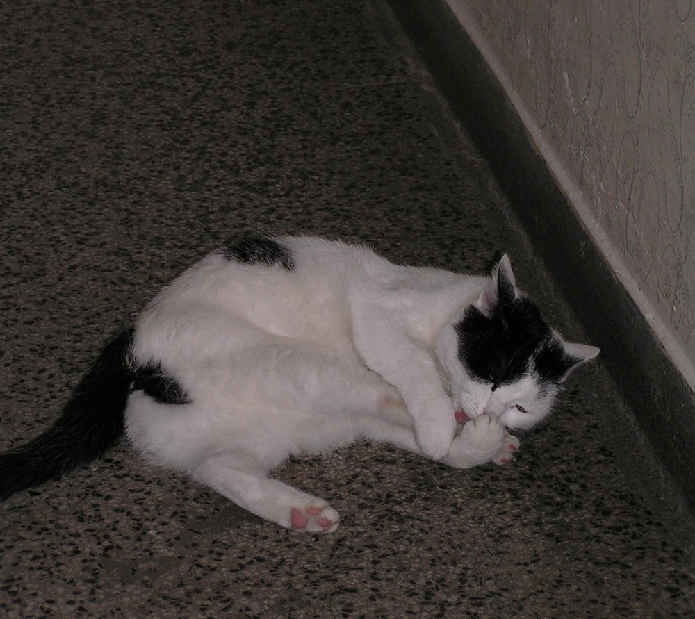 Ciśnienie czy przymus?