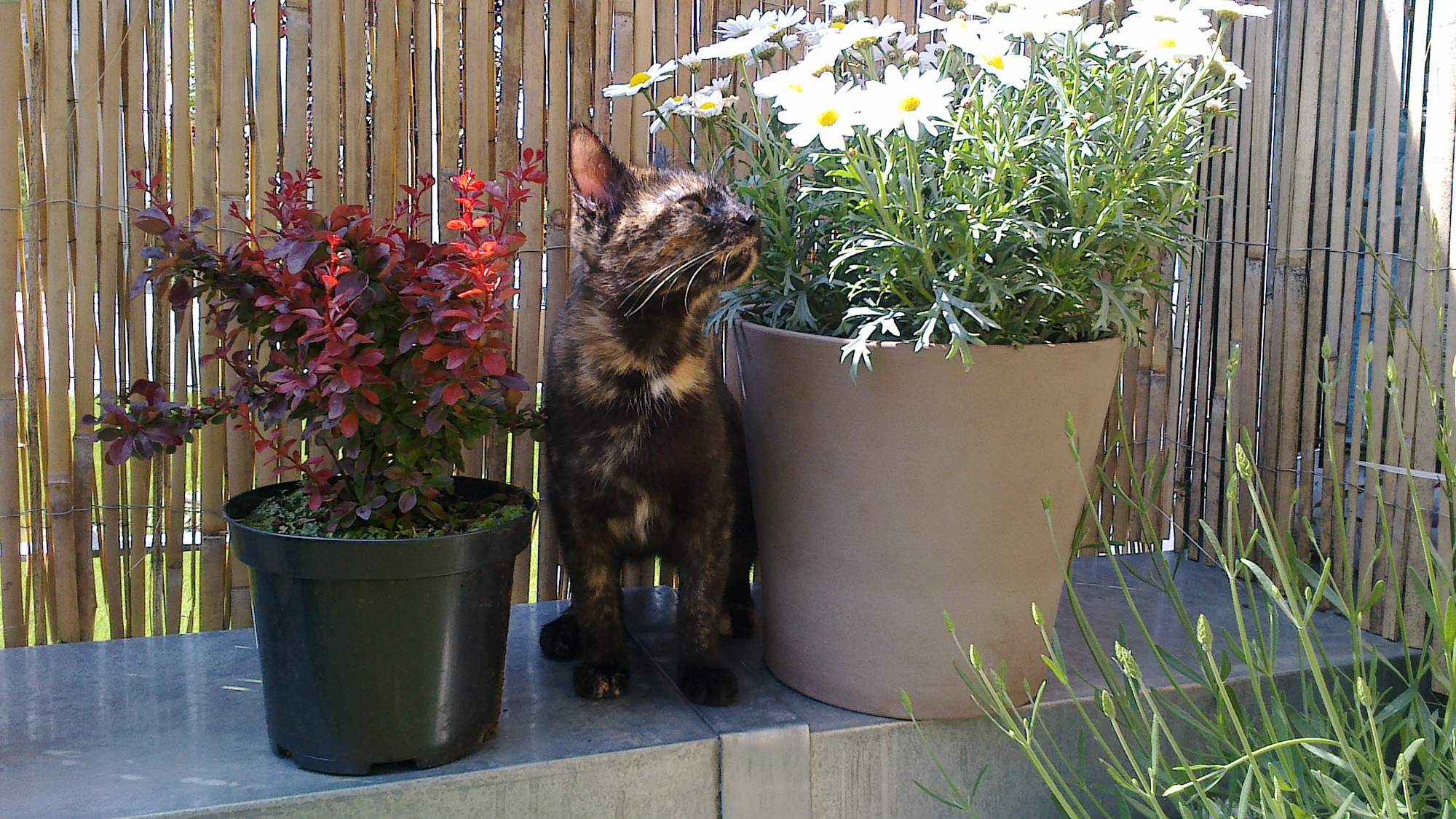 W cieniu sprawiedliwości & # 8211; 3. díl