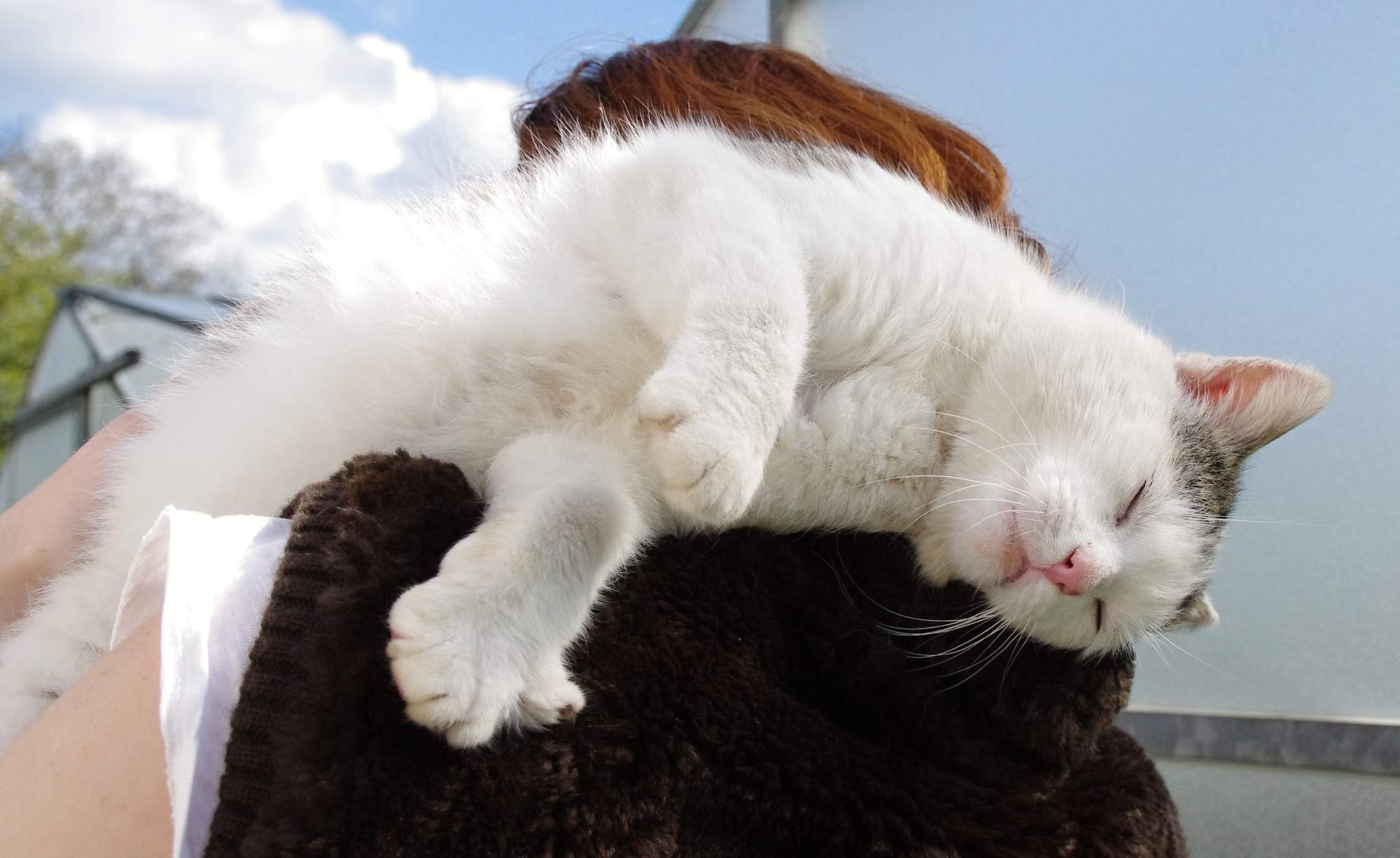 Zaproszenie na targi