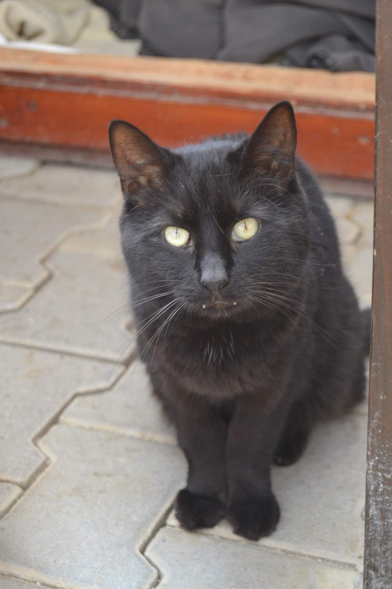 Ostatnie pożegnanie z ukochanym Kennym