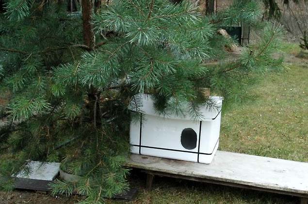 Jak zrobić polistyrenowe pudełka dla kotów na zewnątrz?