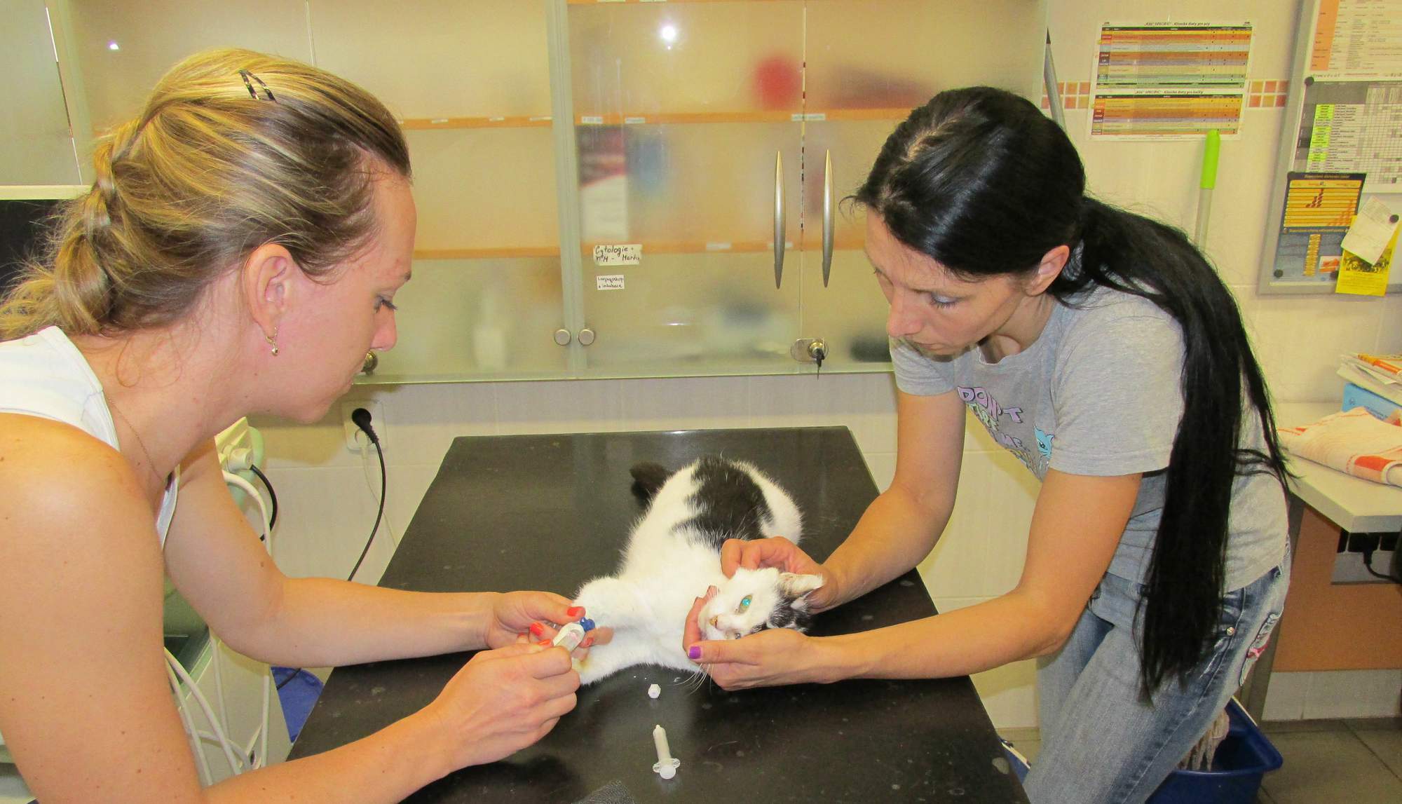 Pożegnanie z Osvaldíkiem