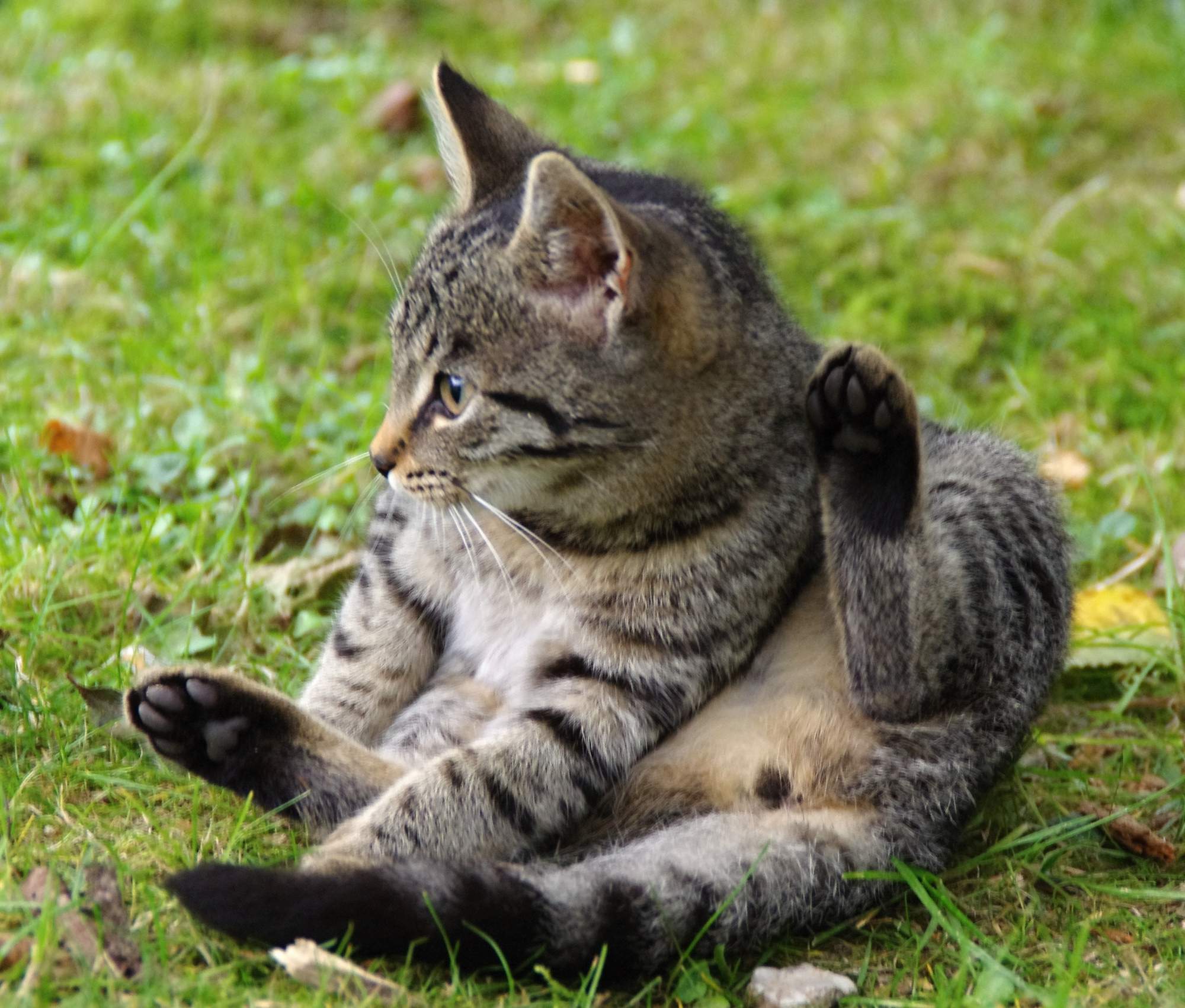 Kiedy wygląda tak smutno