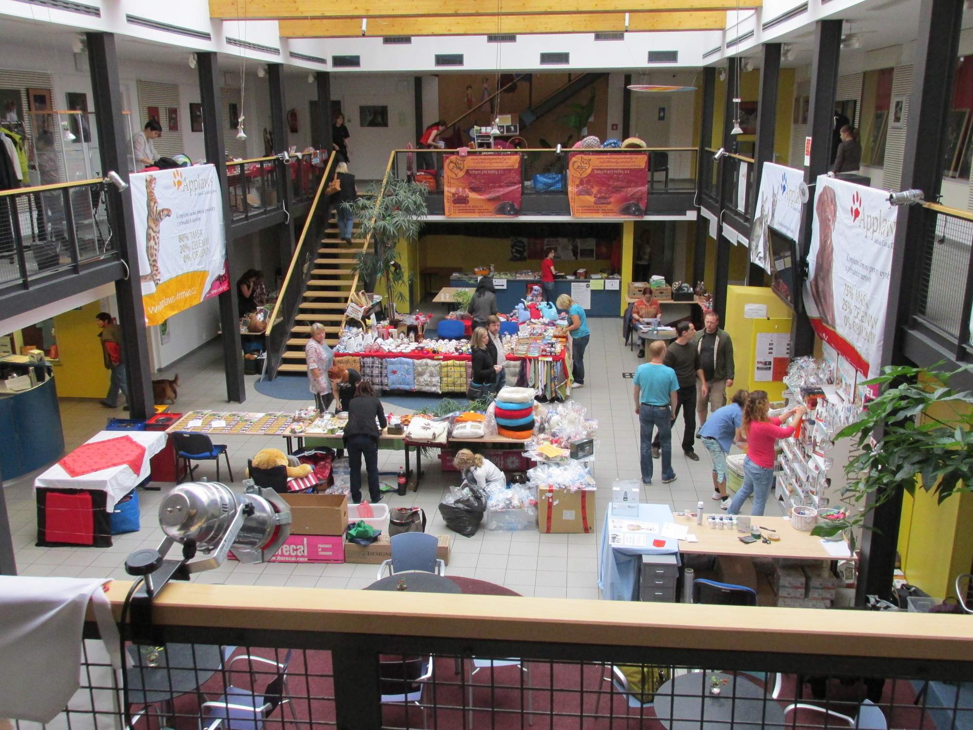 Wystawa lokalizacji St. Wacława bezdomnych kotów