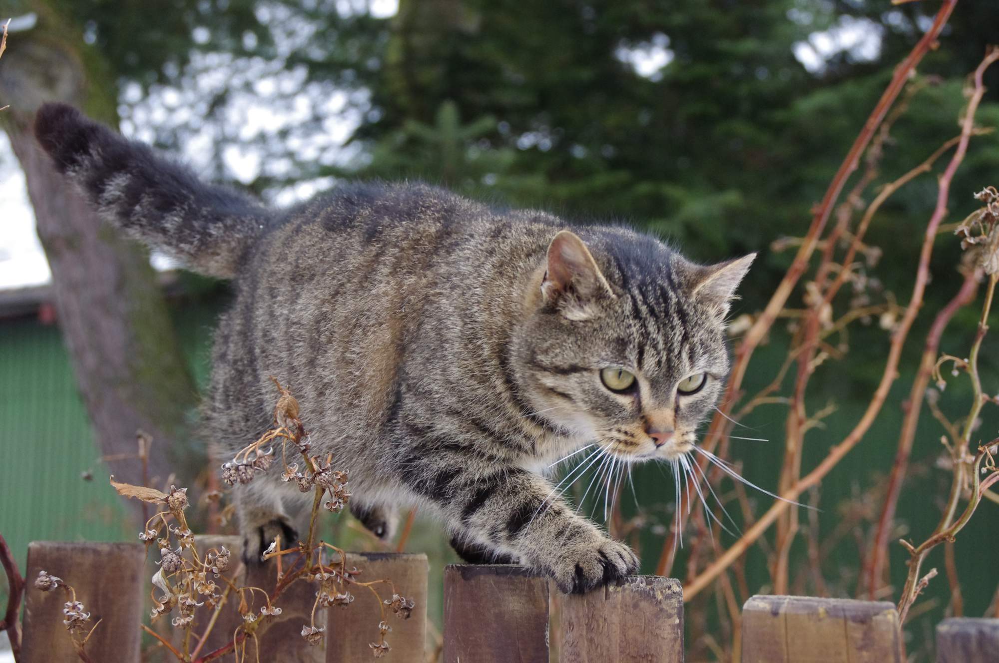 Delikatne leczenie chorób skóry