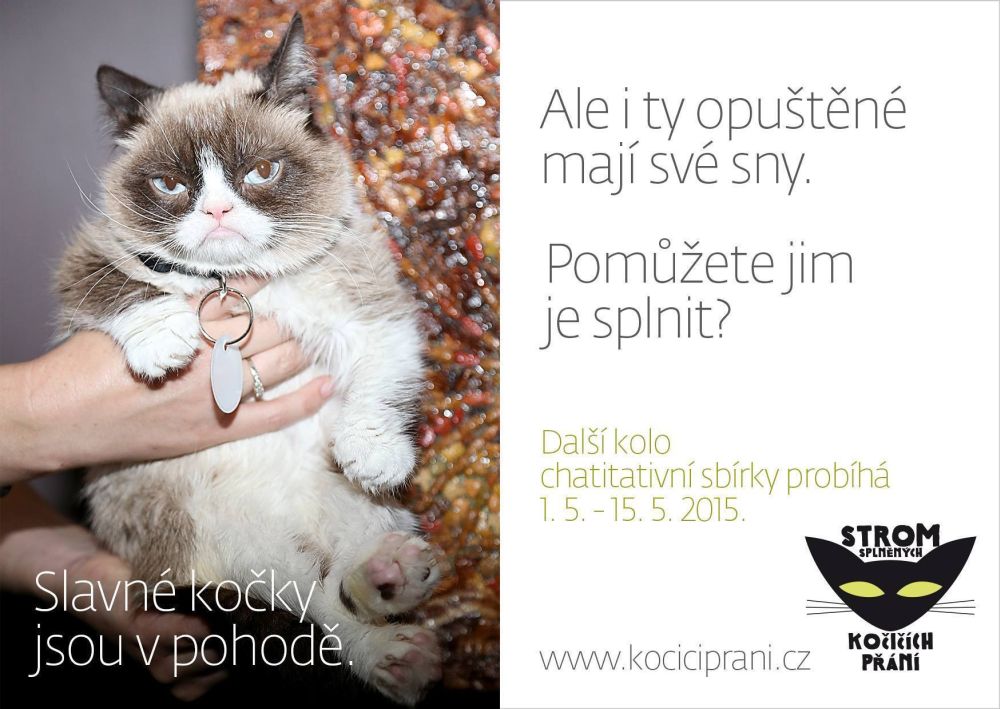 Kartkę z życzeniami May Cat