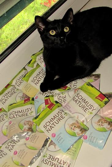 Milion koron dla porzuconych kotów