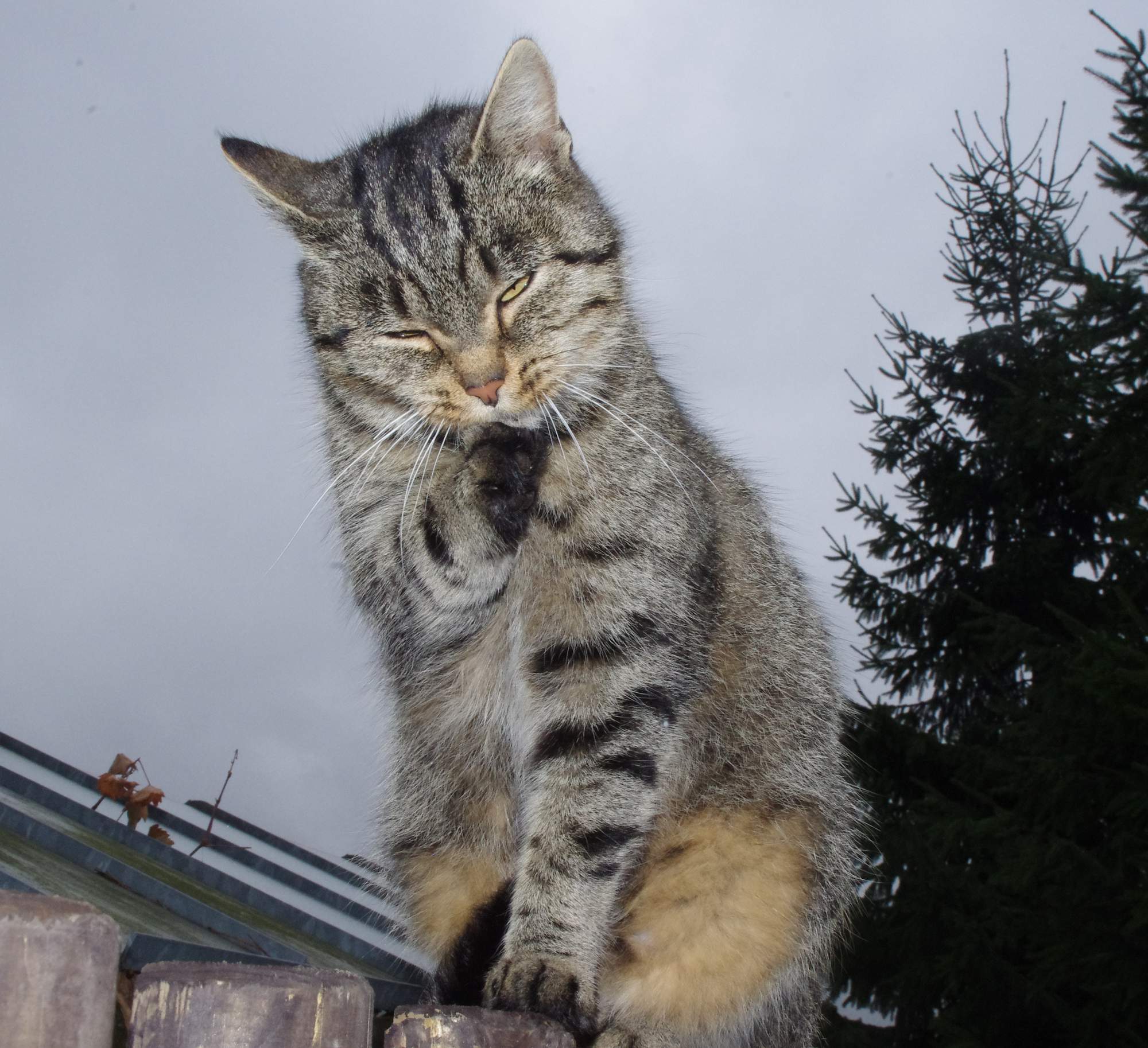 Łagodne leczenie stanów zapalnych w jamie ustnej