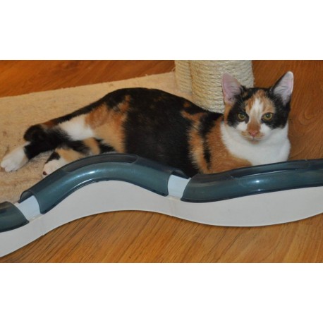 Srdíčková nadílka